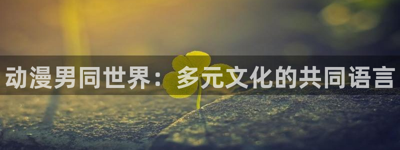 日本78动漫：动漫男同世界：多元文化的共同语言