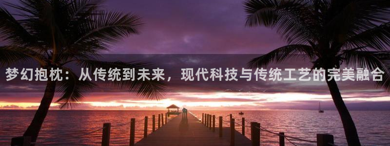 78动漫网怎么没了：梦幻抱枕：从传统到未来，现代科技与传统工艺的完美融合