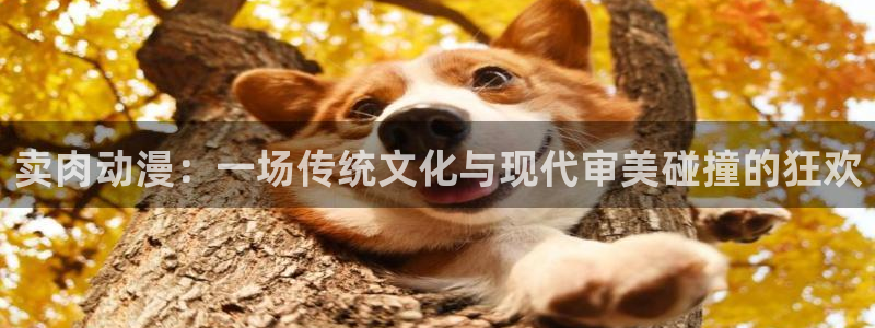 7878动漫网：卖肉动漫：一场传统文化与现代审美碰撞的狂欢