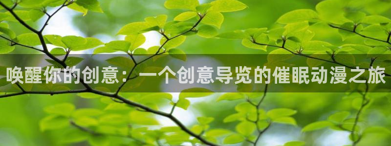 78动漫安卓：唤醒你的创意：一个创意导览的催眠动漫之旅