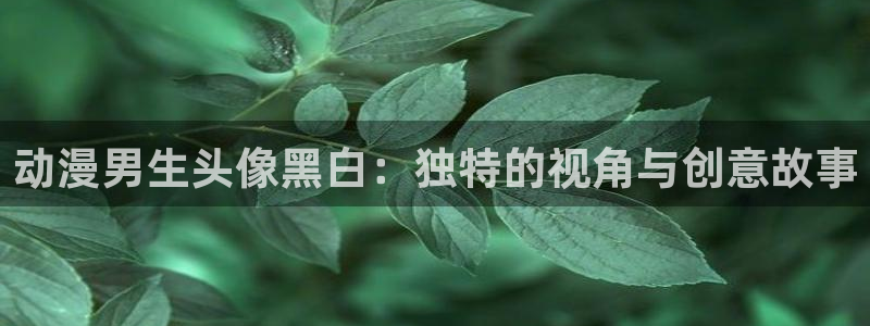 78动漫 官网：动漫男生头像黑白：独特的视角与创意故事